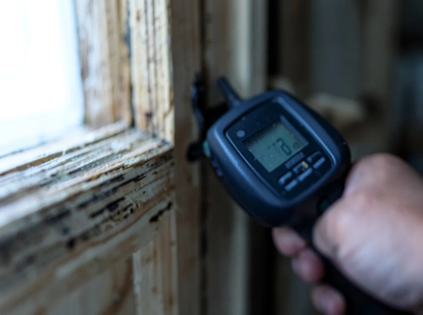 Moisture Inspection And Documentation in Fairview, NJ